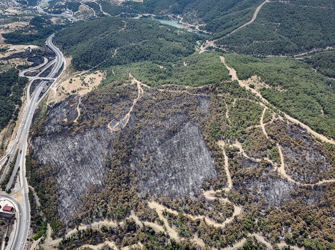 Kahreden manzara! Bornova'da yanan ormanlar dronla görüntülendi 18